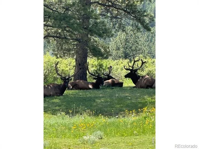 270 Choctaw Road Lyons, CO 80540