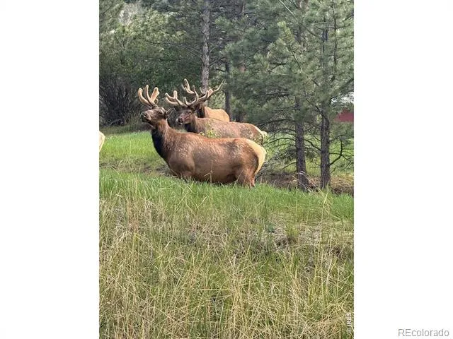 270 Choctaw Road Lyons, CO 80540