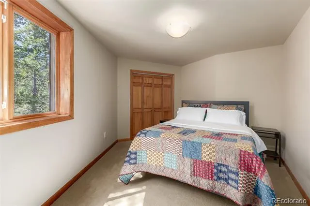 260 Pine Drive Idaho Springs, CO 80452