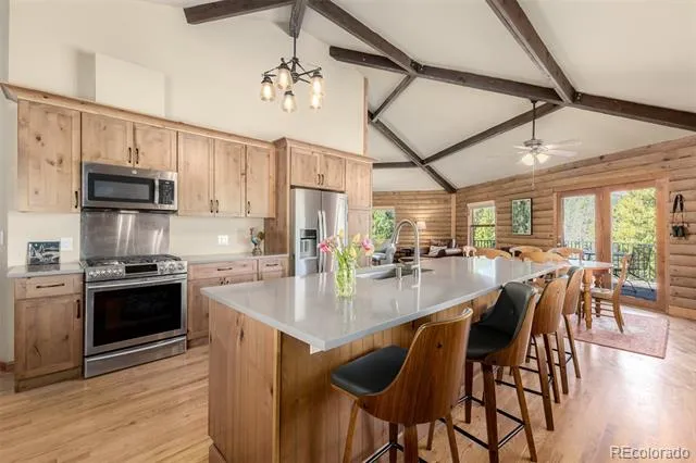 260 Pine Drive Idaho Springs, CO 80452