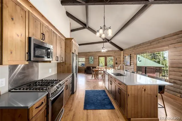 260 Pine Drive Idaho Springs, CO 80452