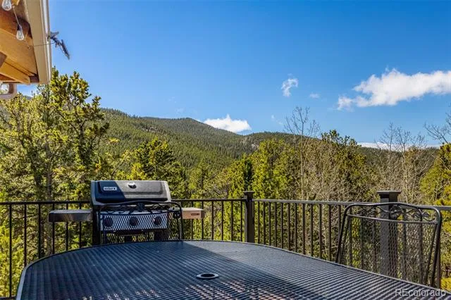 260 Pine Drive Idaho Springs, CO 80452