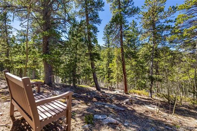 260 Pine Drive Idaho Springs, CO 80452