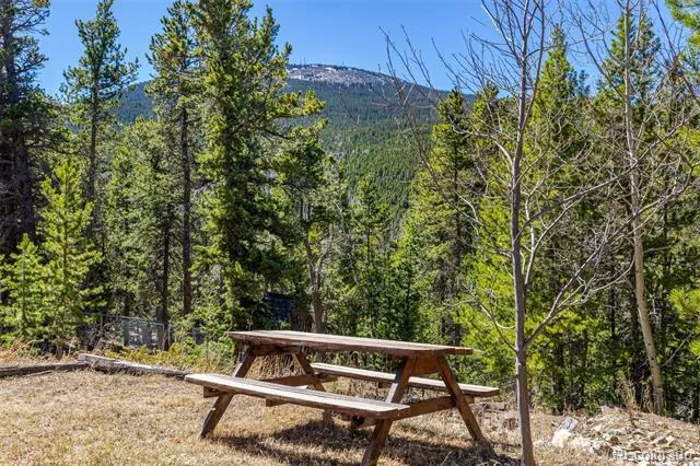 260 Pine Drive Idaho Springs, CO 80452