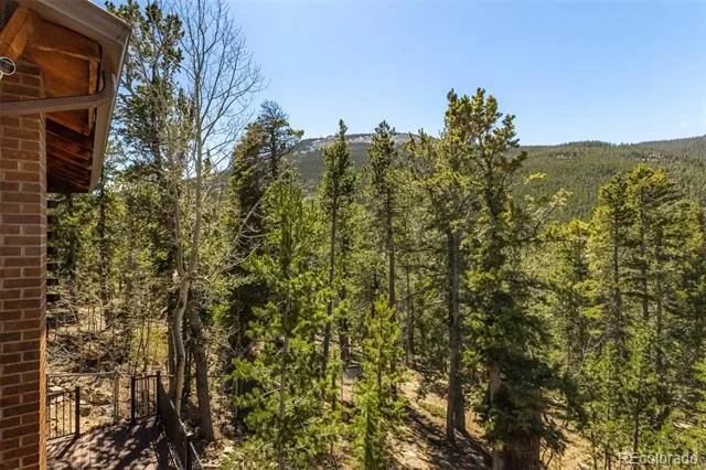 260 Pine Drive Idaho Springs, CO 80452