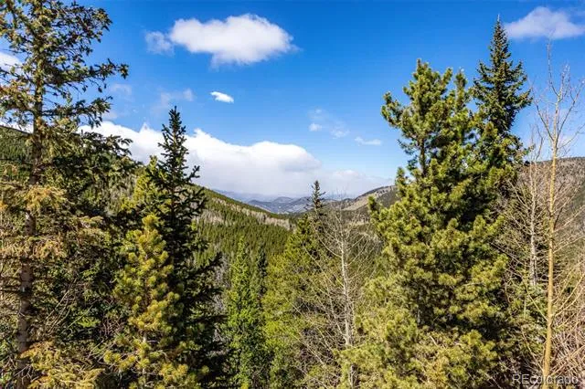 260 Pine Drive Idaho Springs, CO 80452