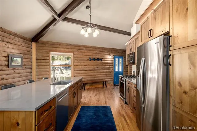 260 Pine Drive Idaho Springs, CO 80452