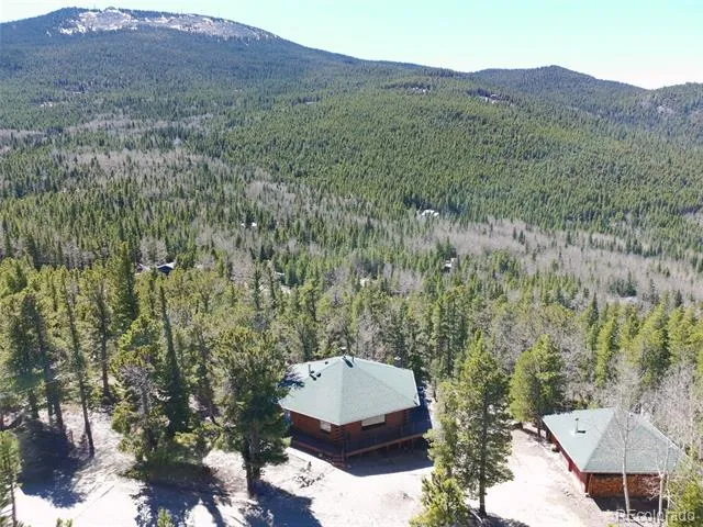 260 Pine Drive Idaho Springs, CO 80452