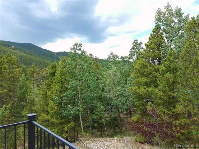 260 Pine Drive Idaho Springs, CO 80452