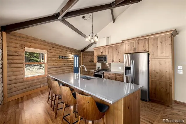 260 Pine Drive Idaho Springs, CO 80452