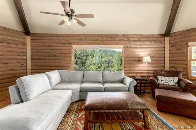260 Pine Drive Idaho Springs, CO 80452