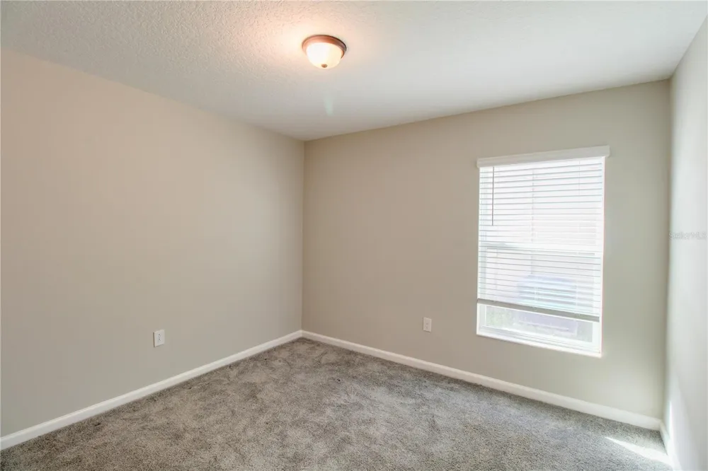 2873 BLACK BIRCH DRIVE Ocoee, FL 34761