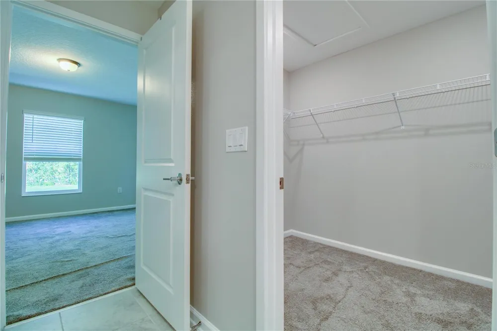 2873 BLACK BIRCH DRIVE Ocoee, FL 34761