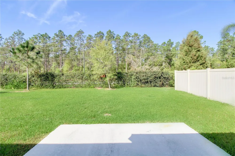 2873 BLACK BIRCH DRIVE Ocoee, FL 34761