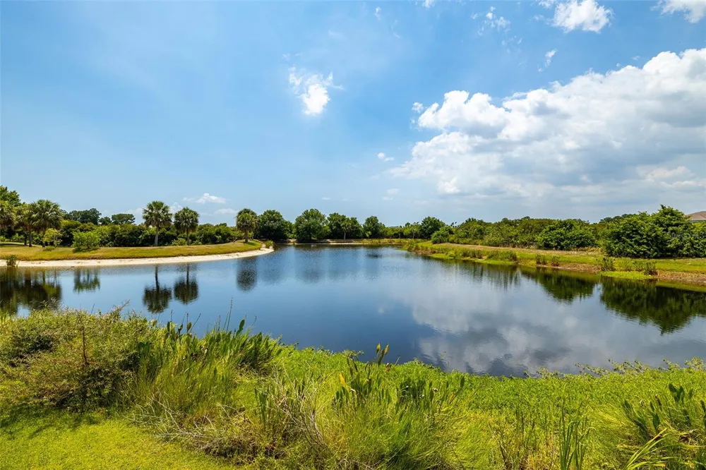 9506 AMBERDALE COURT #202 Riverview, FL 33578