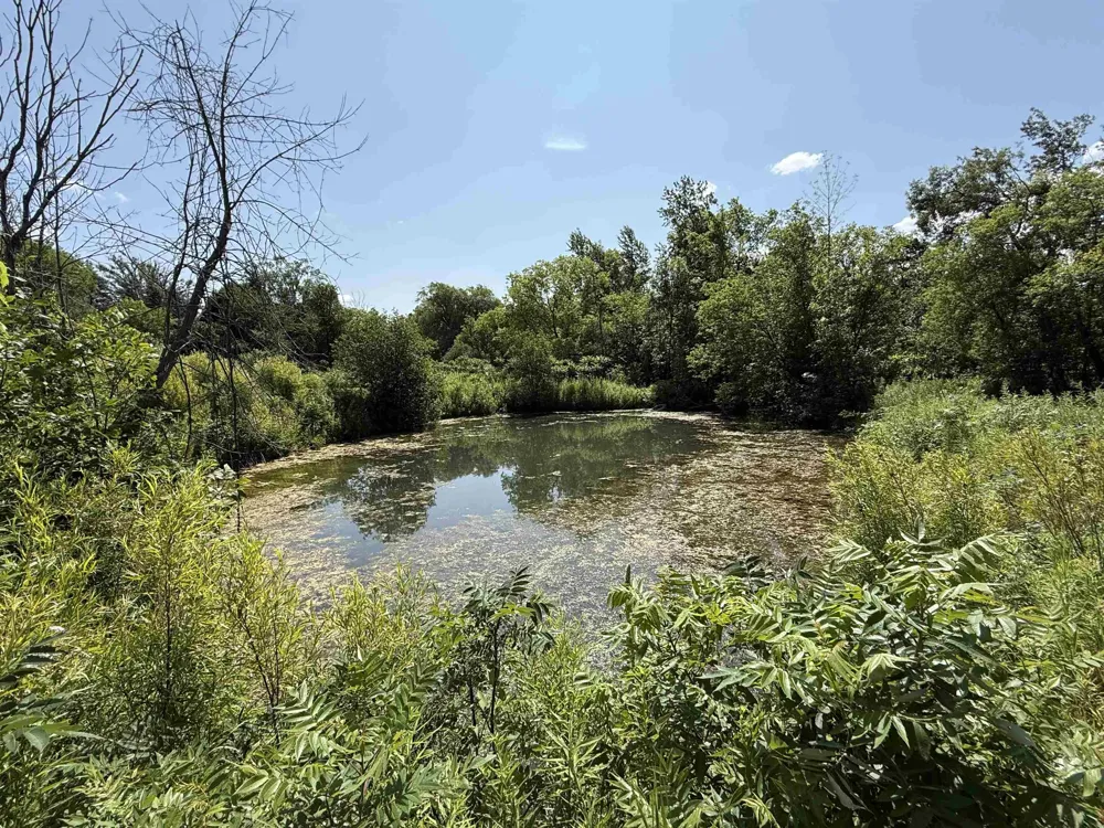 South Street Plainfield Township, MI 48739