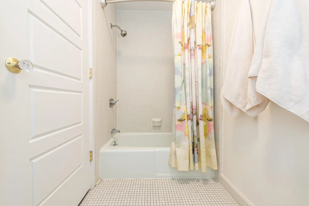 916 Olivia Avenue Ann Arbor City, MI 48104