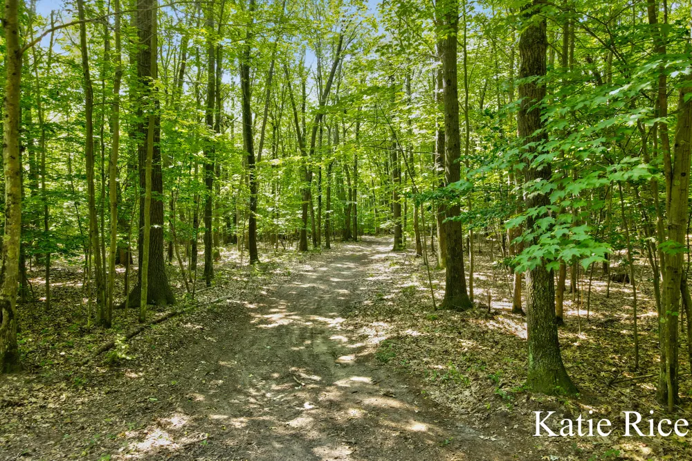 2030 Scenic Drive Laketon Township, MI 49445