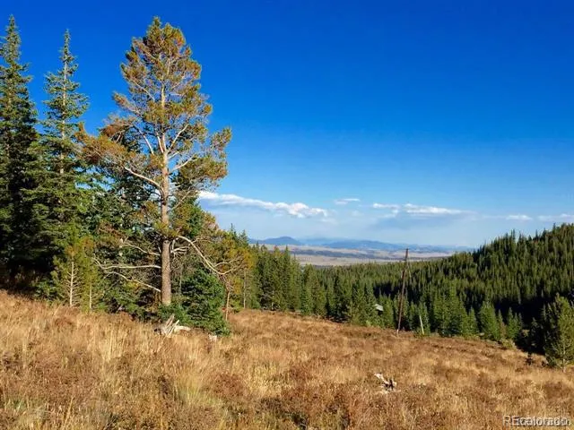 1180 Zebulon Street Alma, CO 80420