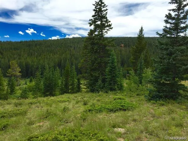 1180 Zebulon Street Alma, CO 80420