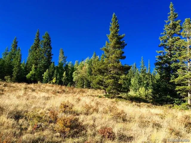 1180 Zebulon Street Alma, CO 80420
