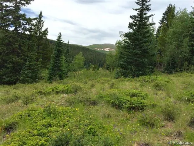 1180 Zebulon Street Alma, CO 80420