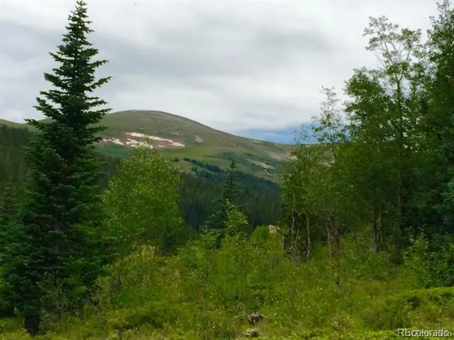 1180 Zebulon Street Alma, CO 80420