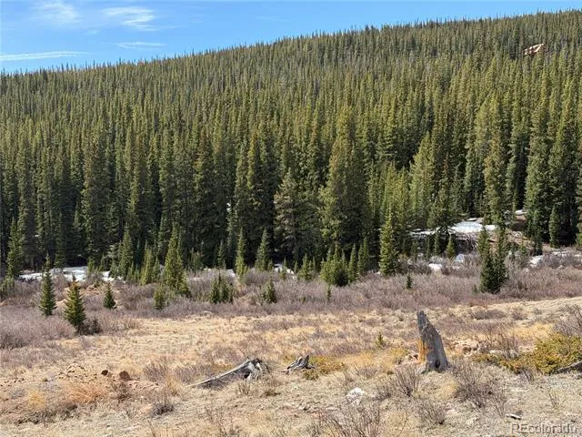 1180 Zebulon Street Alma, CO 80420
