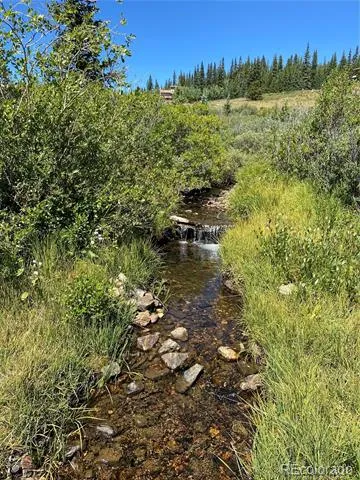 1180 Zebulon Street Alma, CO 80420