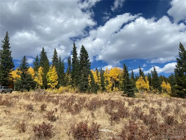 1180 Zebulon Street Alma, CO 80420