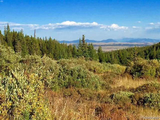 1180 Zebulon Street Alma, CO 80420