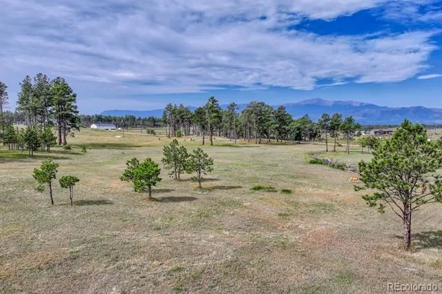 Lot 4 Forest Heights Circle Colorado Springs, CO 80908