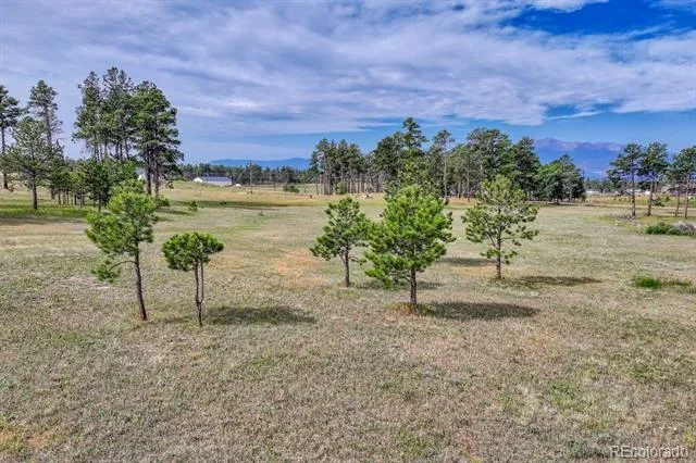 Lot 4 Forest Heights Circle Colorado Springs, CO 80908