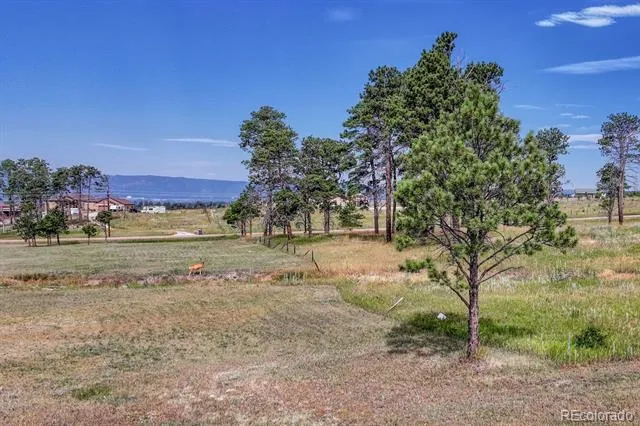 Lot 4 Forest Heights Circle Colorado Springs, CO 80908
