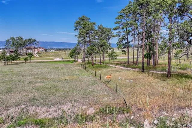 Lot 4 Forest Heights Circle Colorado Springs, CO 80908