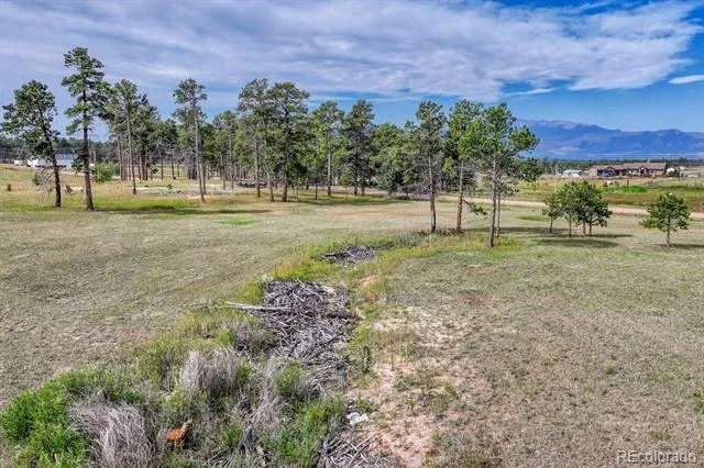 Lot 4 Forest Heights Circle Colorado Springs, CO 80908