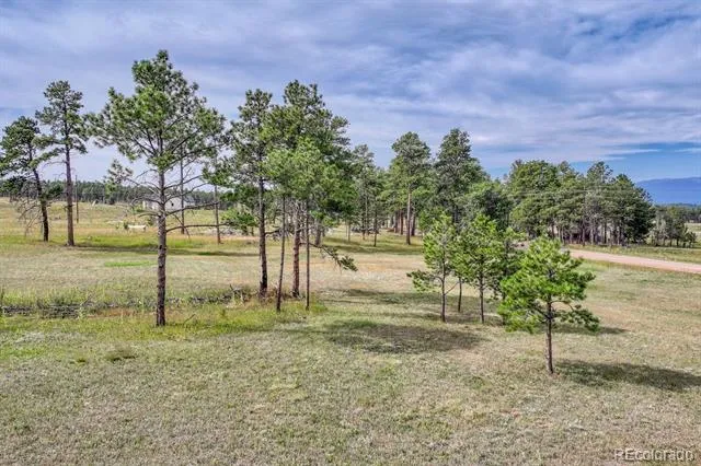 Lot 4 Forest Heights Circle Colorado Springs, CO 80908