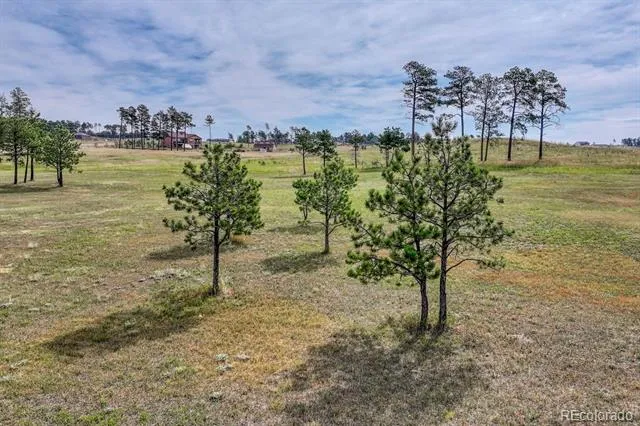 Lot 4 Forest Heights Circle Colorado Springs, CO 80908