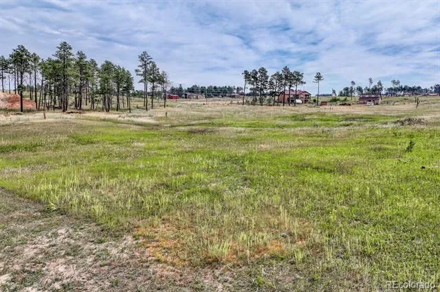 Lot 4 Forest Heights Circle Colorado Springs, CO 80908