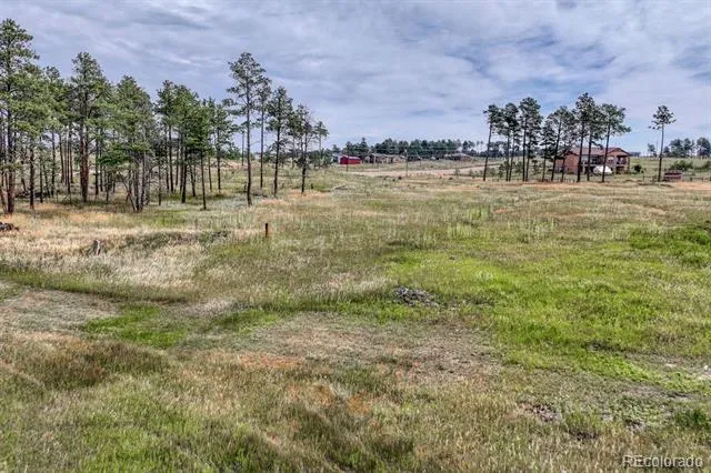 Lot 4 Forest Heights Circle Colorado Springs, CO 80908