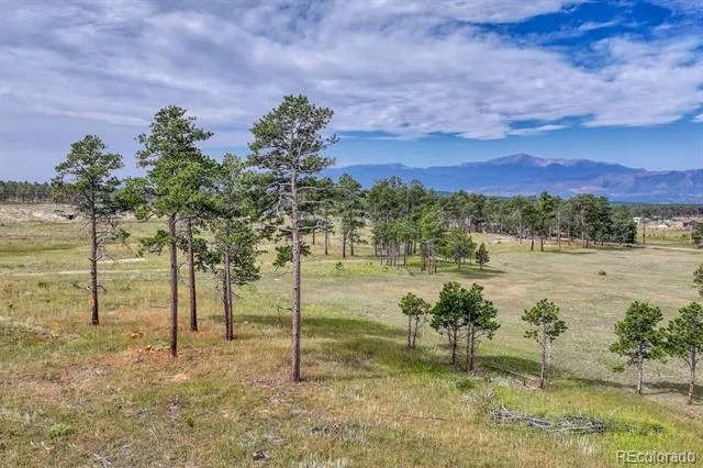 Lot 4 Forest Heights Circle Colorado Springs, CO 80908