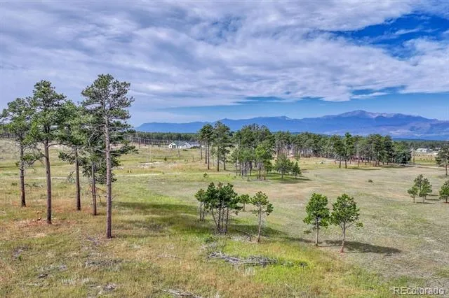 Lot 4 Forest Heights Circle Colorado Springs, CO 80908