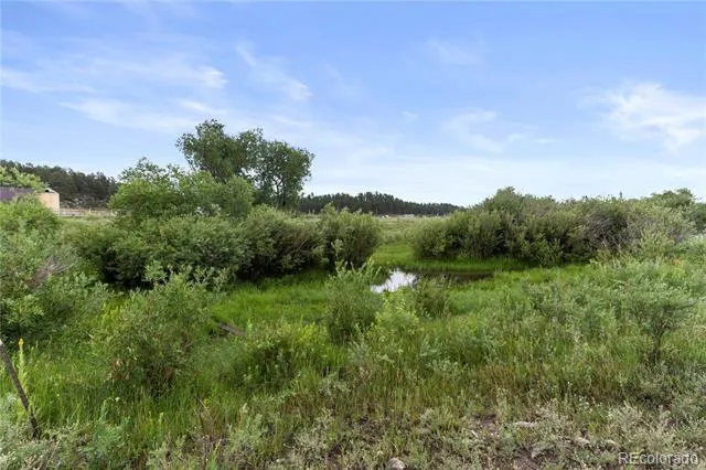 E Cherry Creek Road Larkspur, CO 80118
