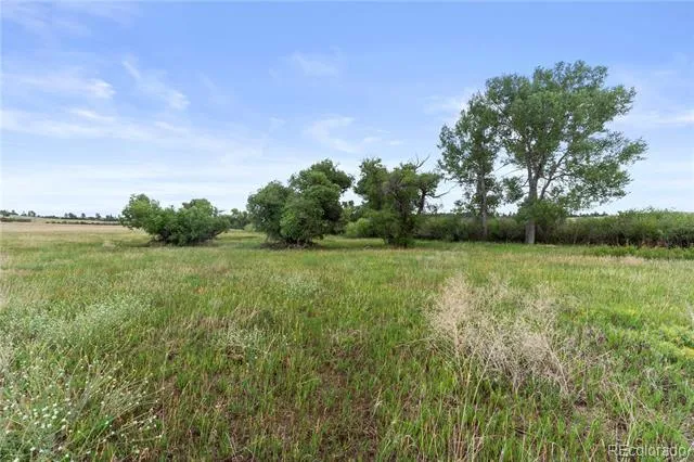 E Cherry Creek Road Larkspur, CO 80118