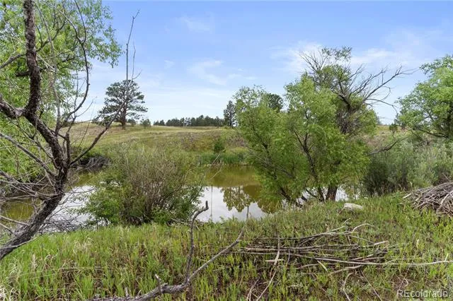 E Cherry Creek Road Larkspur, CO 80118