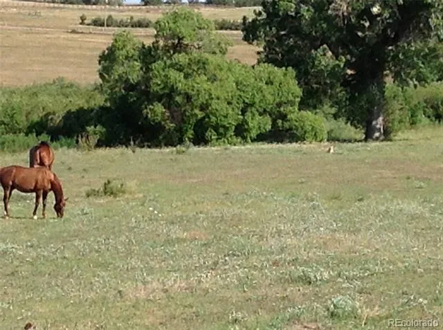 E Cherry Creek Road Larkspur, CO 80118