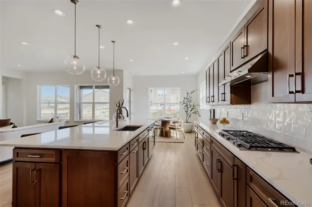 5166 Cupule Trail Castle Rock, CO 80104