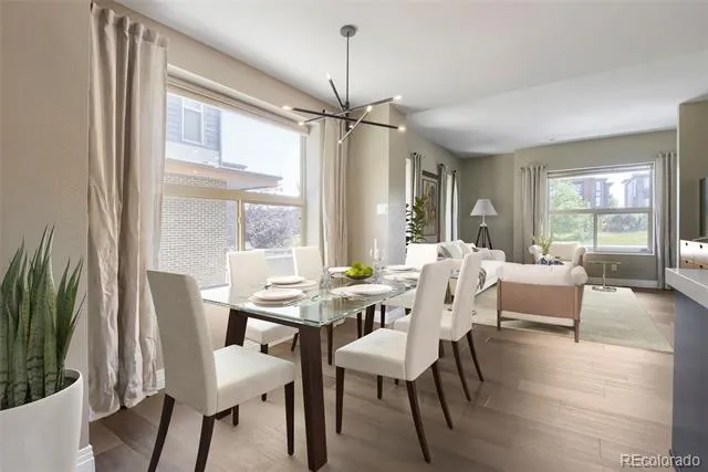 10142 Belvedere Loop Lone Tree, CO 80124