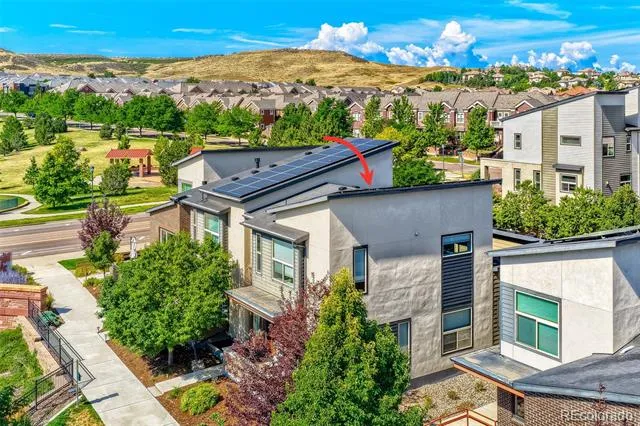 10142 Belvedere Loop Lone Tree, CO 80124
