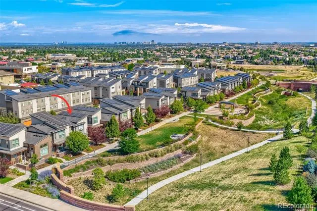 10142 Belvedere Loop Lone Tree, CO 80124